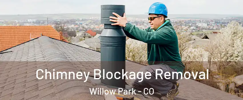 Chimney Blockage Removal Willow Park - CO