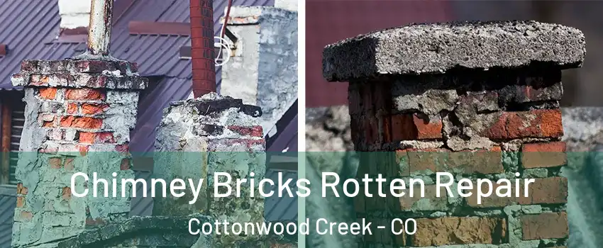 Chimney Bricks Rotten Repair Cottonwood Creek - CO