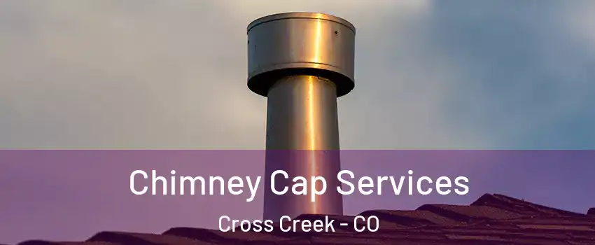 Chimney Cap Services Cross Creek - CO