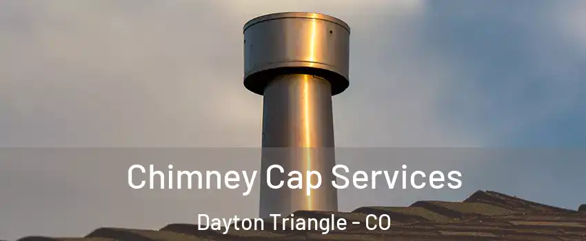 Chimney Cap Services Dayton Triangle - CO