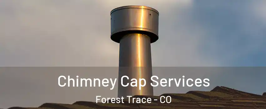 Chimney Cap Services Forest Trace - CO
