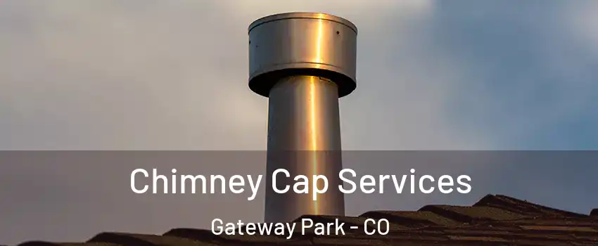 Chimney Cap Services Gateway Park - CO