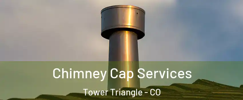 Chimney Cap Services Tower Triangle - CO