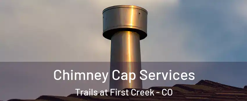 Chimney Cap Services Trails at First Creek - CO