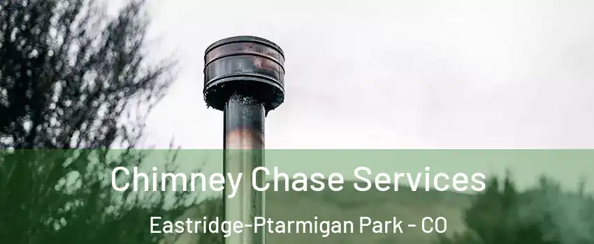 Chimney Chase Services Eastridge-Ptarmigan Park - CO