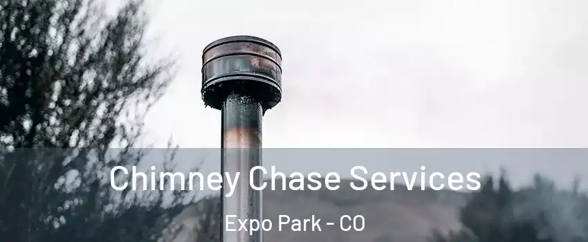 Chimney Chase Services Expo Park - CO