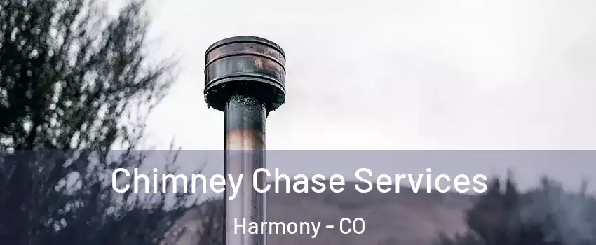 Chimney Chase Services Harmony - CO