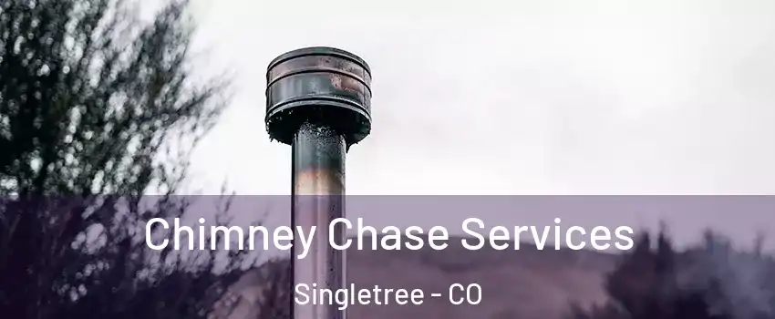 Chimney Chase Services Singletree - CO