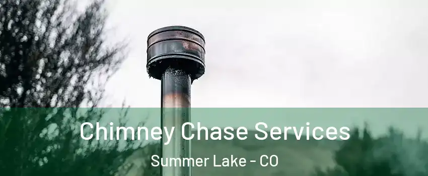 Chimney Chase Services Summer Lake - CO