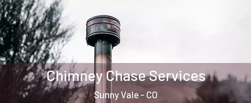 Chimney Chase Services Sunny Vale - CO