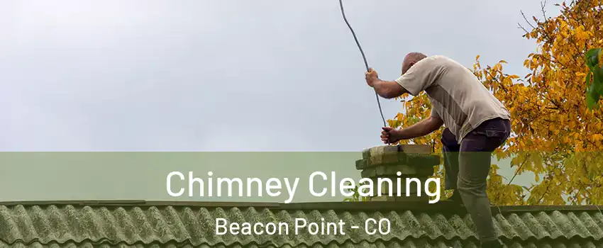 Chimney Cleaning Beacon Point - CO