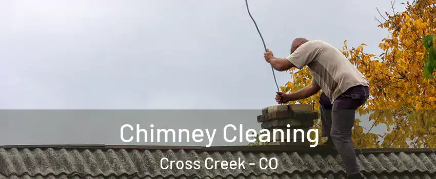 Chimney Cleaning Cross Creek - CO