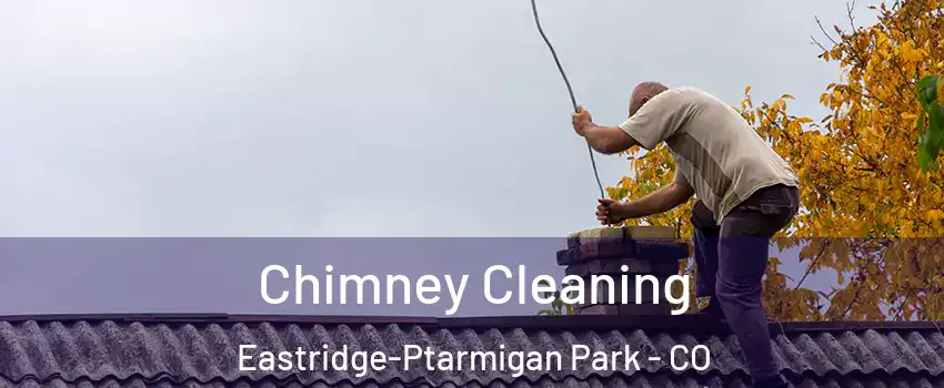 Chimney Cleaning Eastridge-Ptarmigan Park - CO