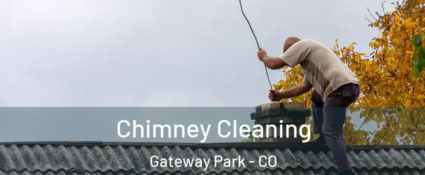 Chimney Cleaning Gateway Park - CO