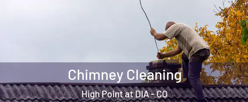Chimney Cleaning High Point at DIA - CO