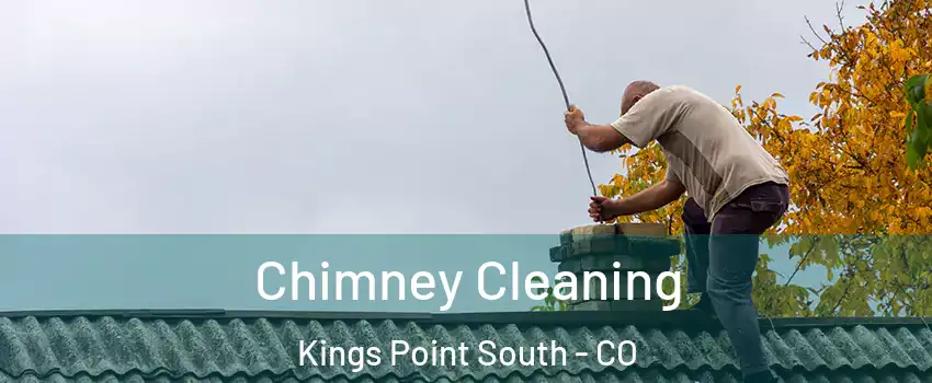 Chimney Cleaning Kings Point South - CO