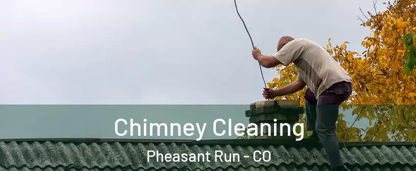Chimney Cleaning Pheasant Run - CO