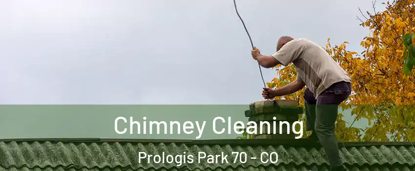 Chimney Cleaning Prologis Park 70 - CO