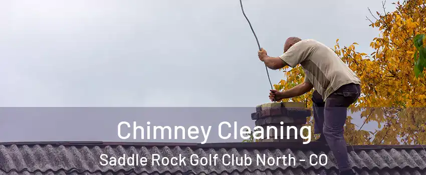 Chimney Cleaning Saddle Rock Golf Club North - CO