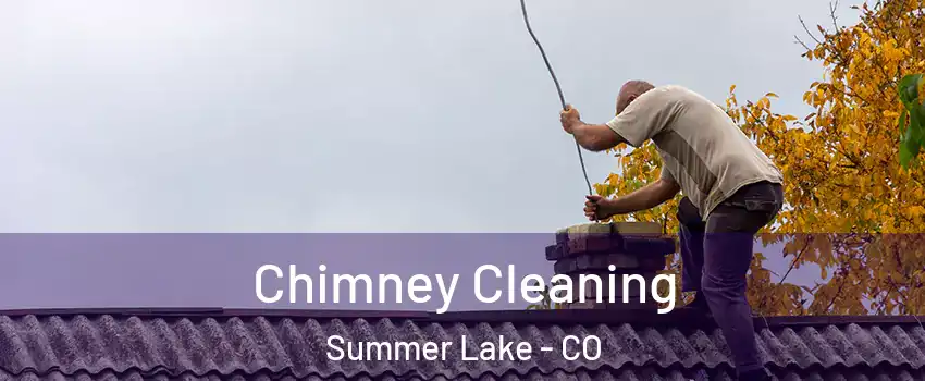 Chimney Cleaning Summer Lake - CO