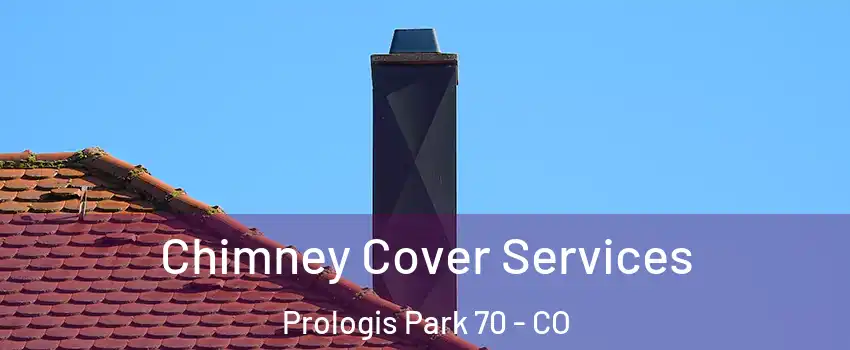 Chimney Cover Services Prologis Park 70 - CO