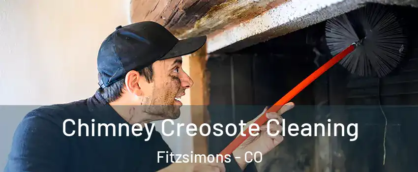 Chimney Creosote Cleaning Fitzsimons - CO
