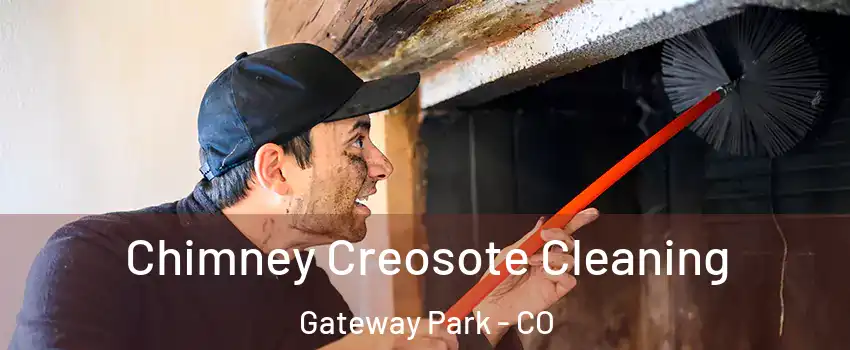 Chimney Creosote Cleaning Gateway Park - CO