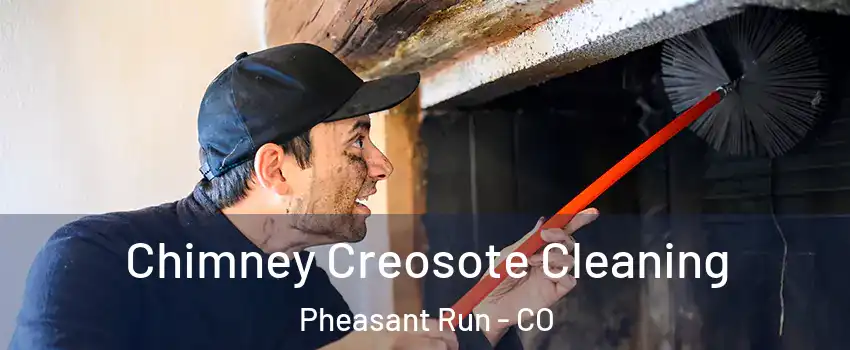 Chimney Creosote Cleaning Pheasant Run - CO