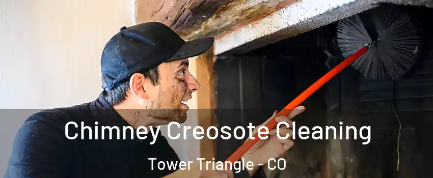 Chimney Creosote Cleaning Tower Triangle - CO