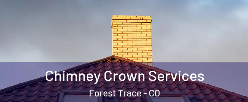 Chimney Crown Services Forest Trace - CO