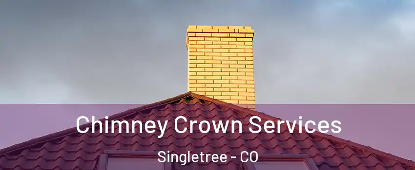 Chimney Crown Services Singletree - CO