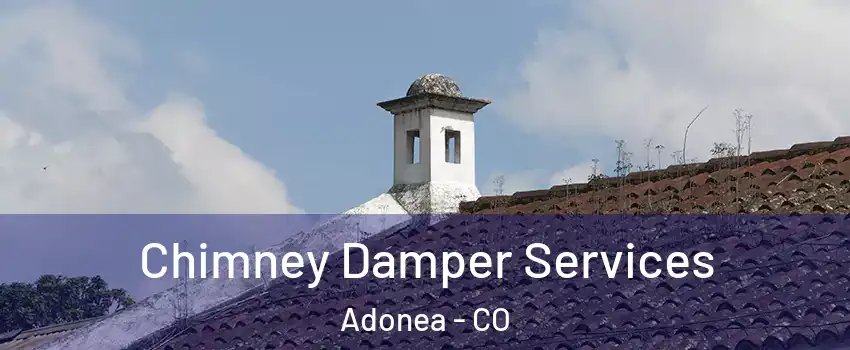 Chimney Damper Services Adonea - CO
