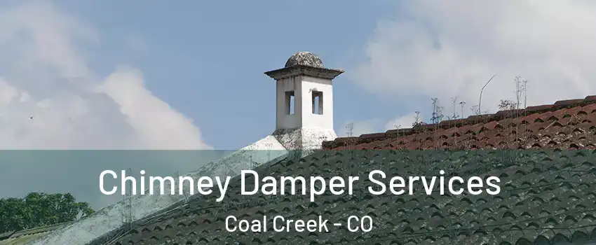 Chimney Damper Services Coal Creek - CO