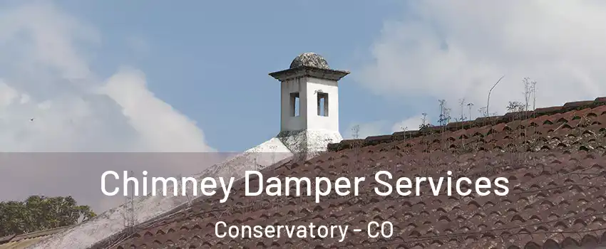 Chimney Damper Services Conservatory - CO