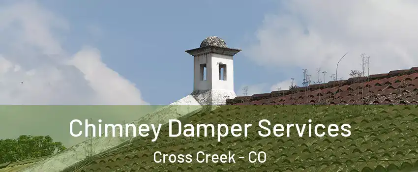 Chimney Damper Services Cross Creek - CO