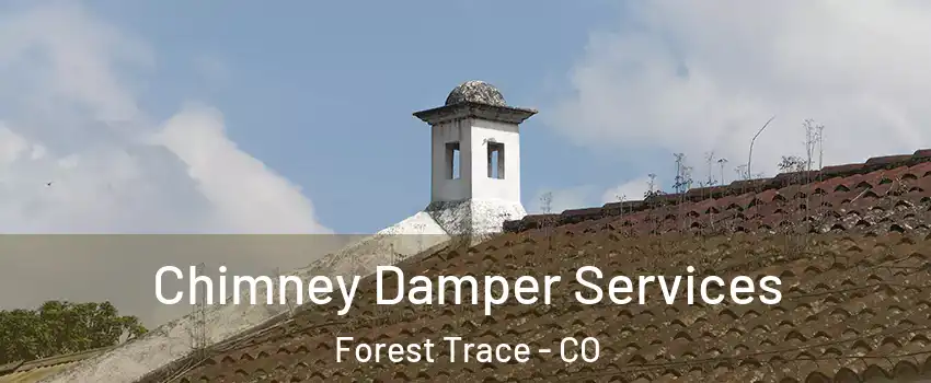Chimney Damper Services Forest Trace - CO