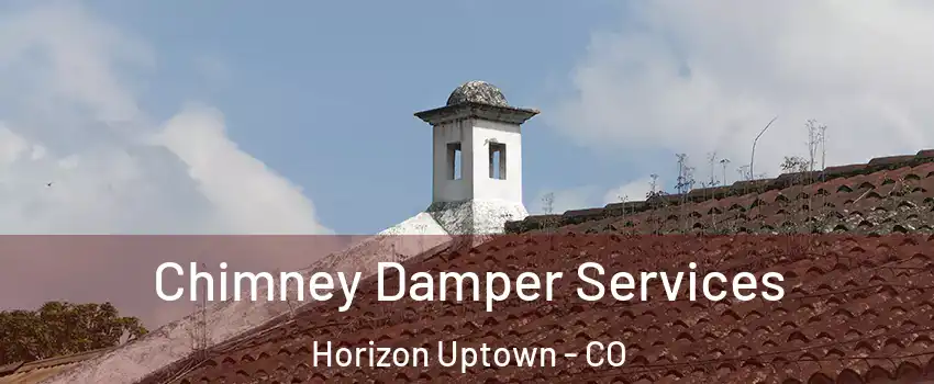 Chimney Damper Services Horizon Uptown - CO