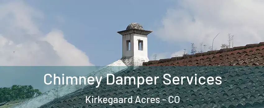 Chimney Damper Services Kirkegaard Acres - CO