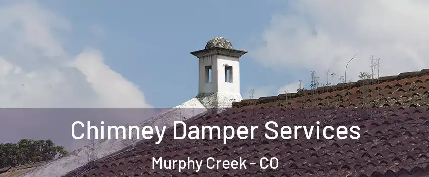 Chimney Damper Services Murphy Creek - CO