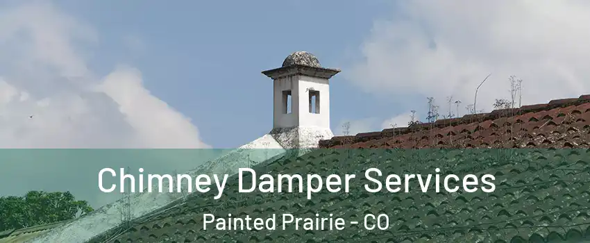 Chimney Damper Services Painted Prairie - CO