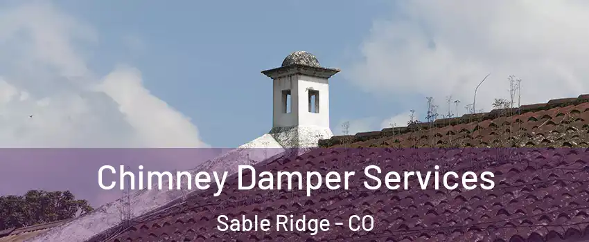 Chimney Damper Services Sable Ridge - CO