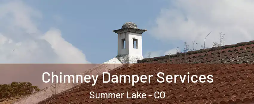 Chimney Damper Services Summer Lake - CO