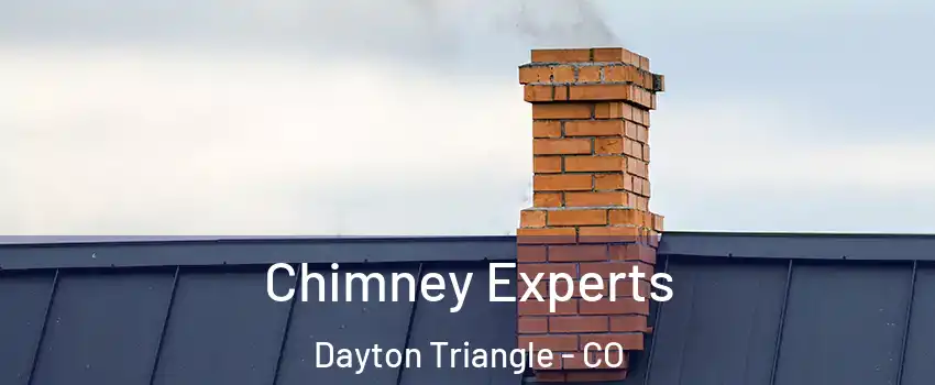 Chimney Experts Dayton Triangle - CO