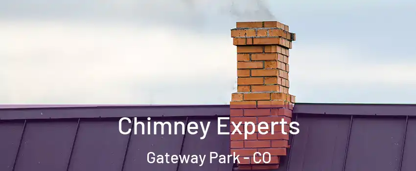 Chimney Experts Gateway Park - CO