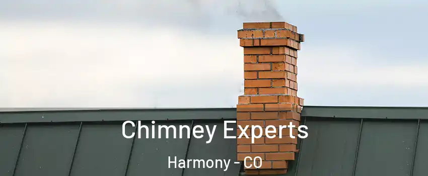 Chimney Experts Harmony - CO