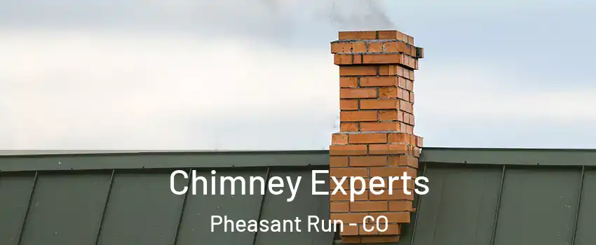 Chimney Experts Pheasant Run - CO