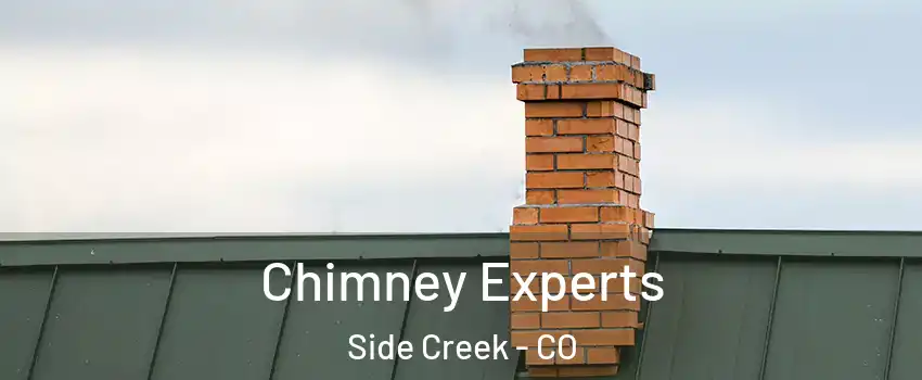 Chimney Experts Side Creek - CO