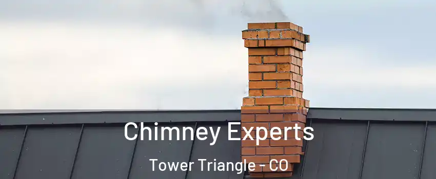 Chimney Experts Tower Triangle - CO