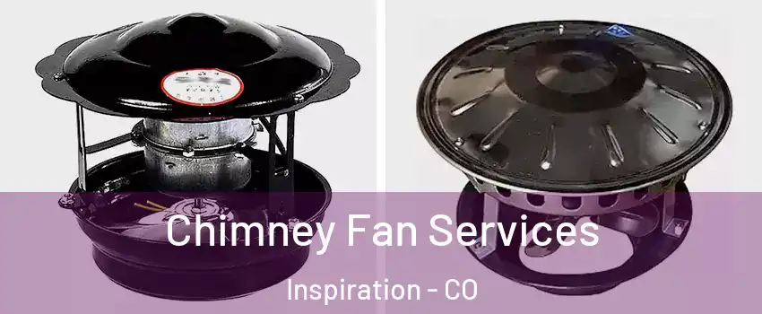 Chimney Fan Services Inspiration - CO