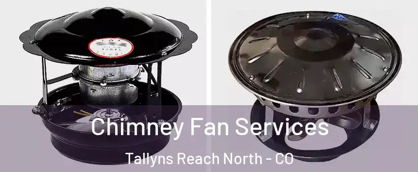 Chimney Fan Services Tallyns Reach North - CO